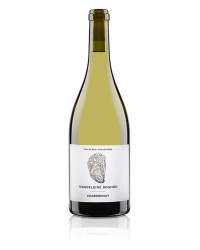 Chardonnay 2023